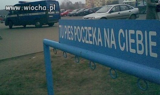 Oni wiedzą gdzie...