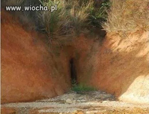 Matka natura...