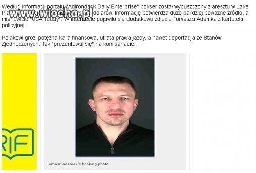 Adamek w USA się popisał ...