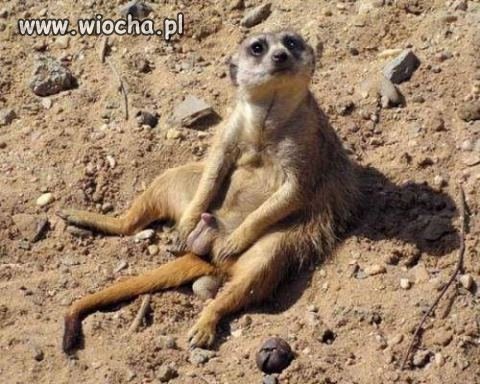 Nic dodać nic ująć .. 