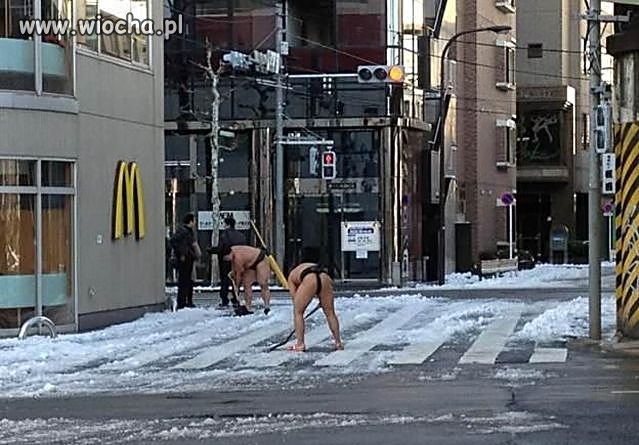 Sumo