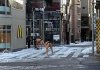 Sumo