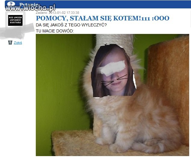 No właśnie... 