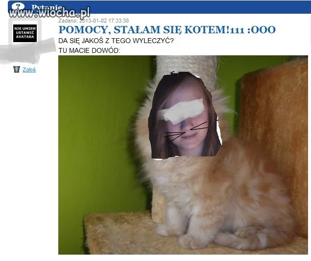 No właśnie... 