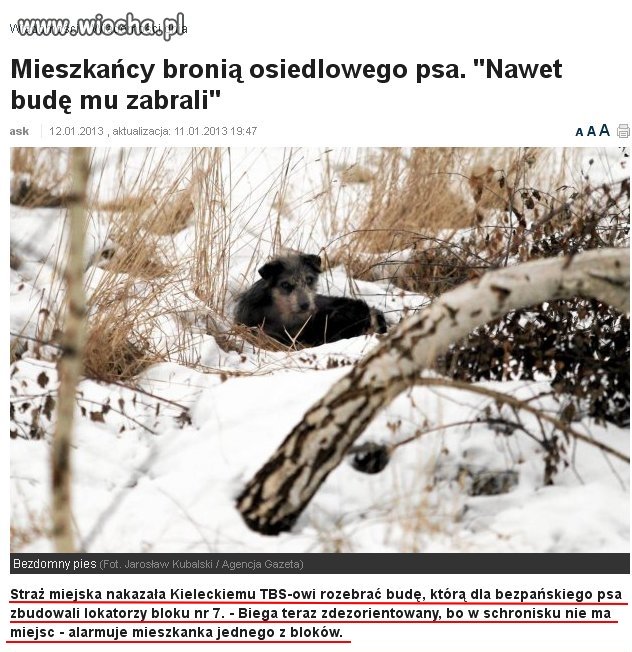 Straż miejska "zabrała bezdomnemu psu budę"...