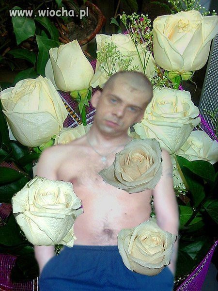 Słit dresik na nk