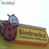 Z zębami to Biedrona czy Stona