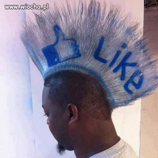 Fan facebooka