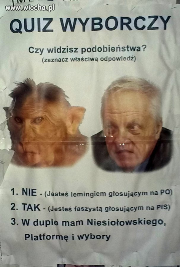 Quiz wyborczy