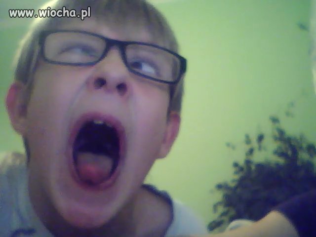 Ale morda!!!