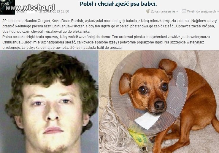 Chyba nikt mu nie wytłumaczył czym jest hot dog