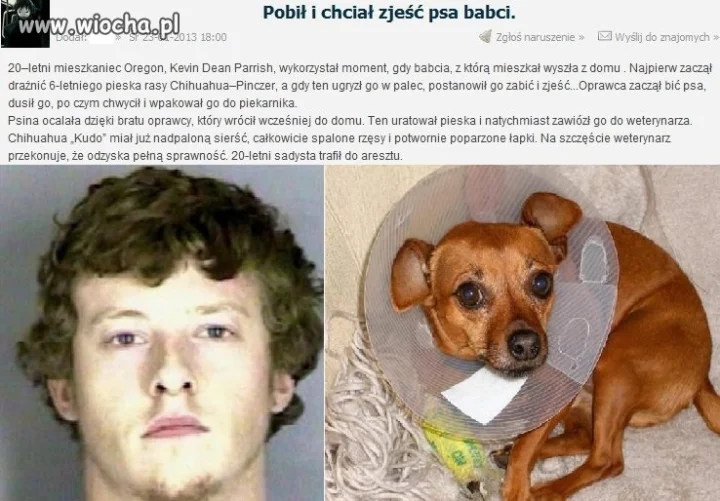 Chyba nikt mu nie wytłumaczył czym jest hot dog