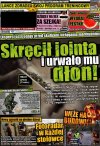 Niecodzienny Tygodnik