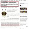 Od chęci umierania za wiarę...