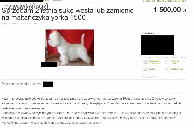 Co ci piesku po szamponach