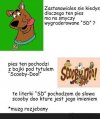 "wygraderowany" przez analfabete