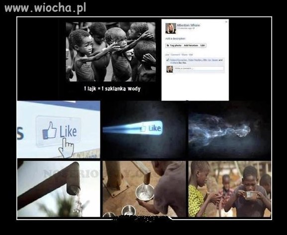 Tylko idioci uważają,