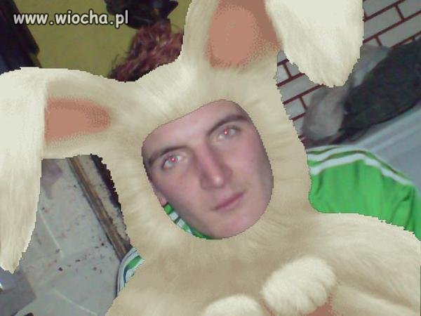 Mów do mnie królik...