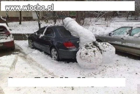 Zimowa wersja