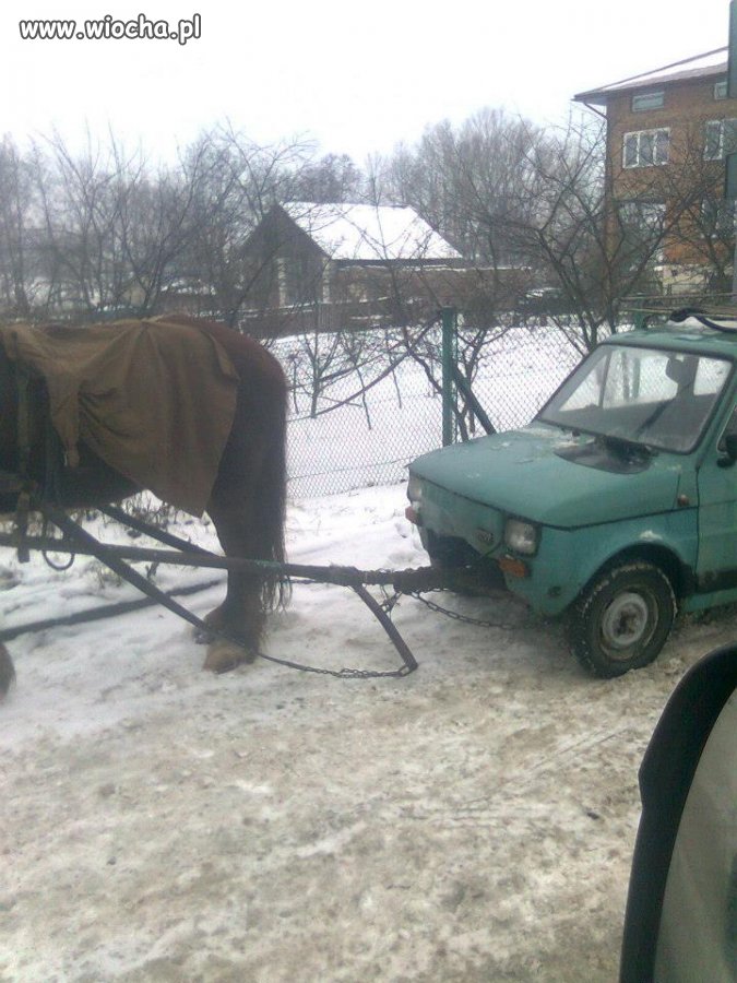 Kulig na Podkarpaciu 