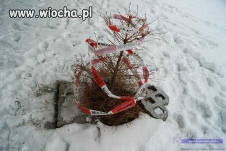 "Zabezpieczyli" studzienkę 