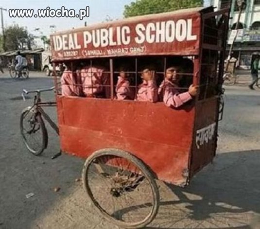 Gimbus 