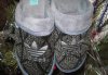Adidaski