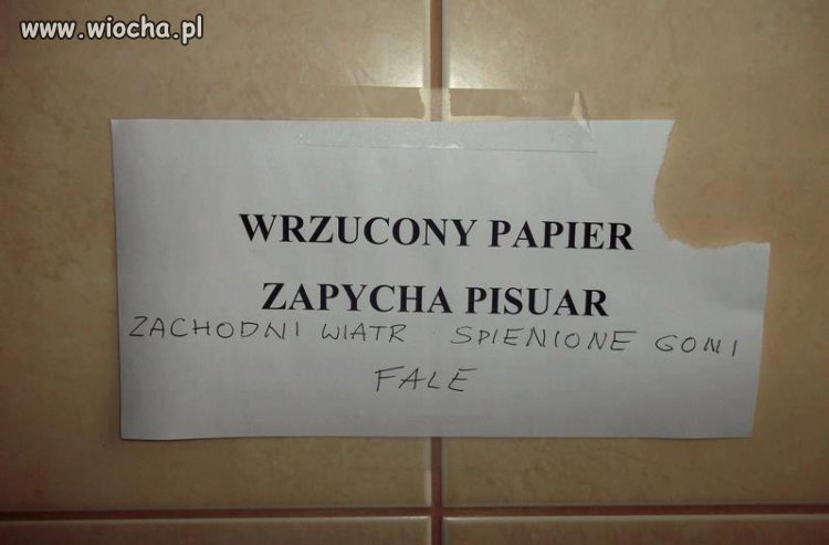 Poezja w Toalecie
