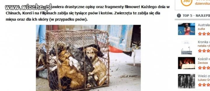 Biedne...