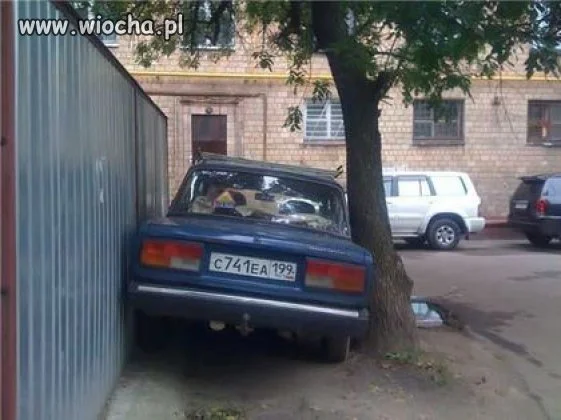 Mistrz parkowania