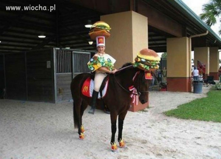 Mc konina