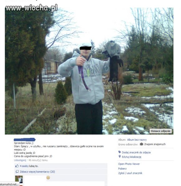 Lans na zdechłego kota