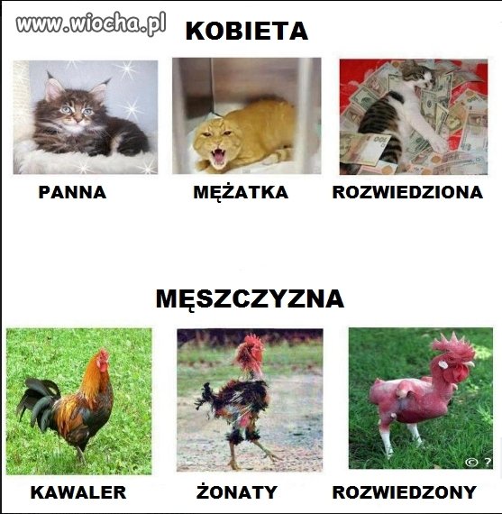 Krótko i na temat...