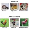 Krótko i na temat...