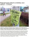 Parabanki- mafijna działalność w świetle prawa