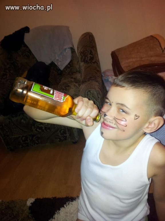 Kotek z Desperados