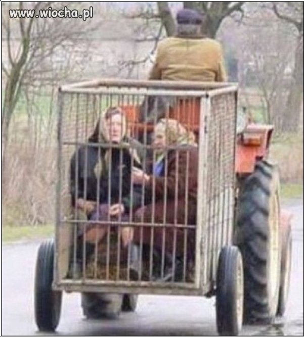 Transport najwyższej klasy.