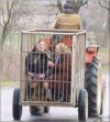 Transport najwyższej klasy.