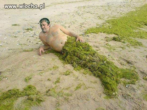 Nimfa morska...