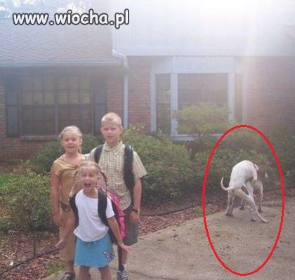 Zdjęcie zrobione w niewłaściwym miejscu i czasie