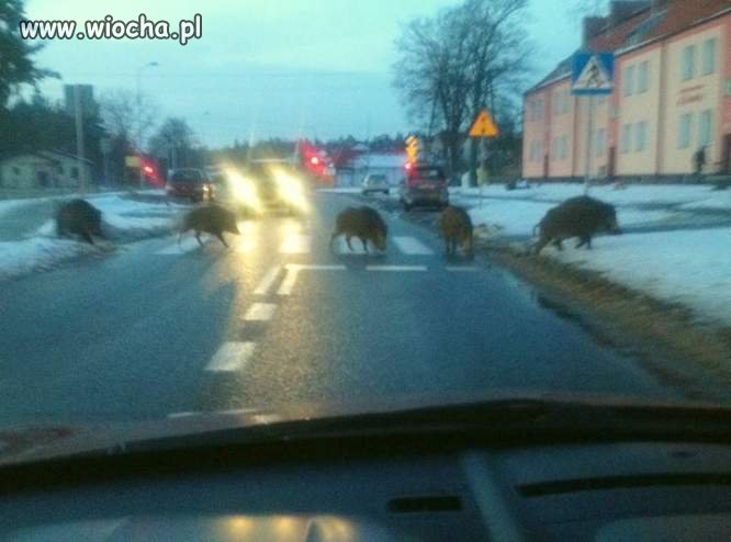 W mieście kultura obowiązuje... 