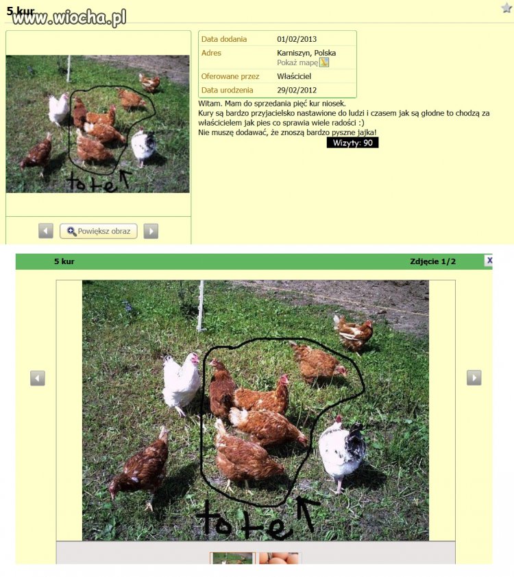 Mistrzowskie ogłoszenie