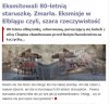 Władza PO w Elblągu podniosła czynsze o 100%