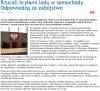 Trzeba nie mieć mózgu..