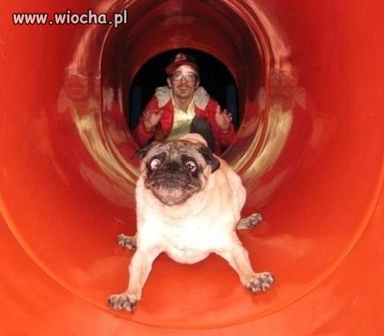Na zjeżdżalni 