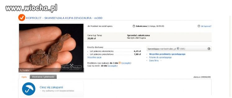 Skamieniała kupa dinozaura