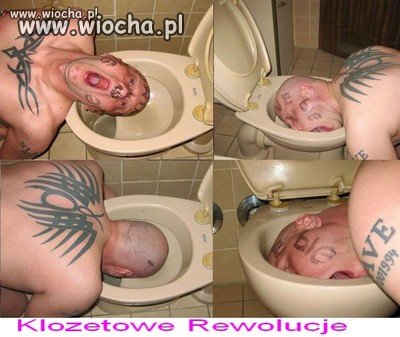 Kiblowe Rewolucje 