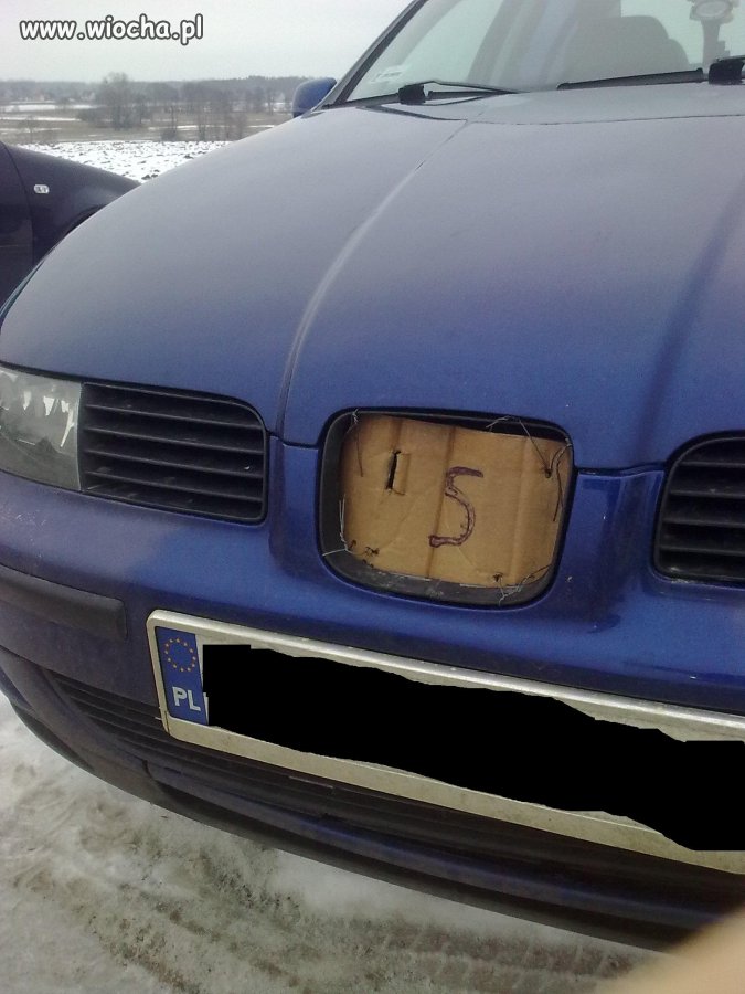 Polak potrafi...