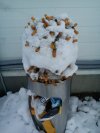 Lody...