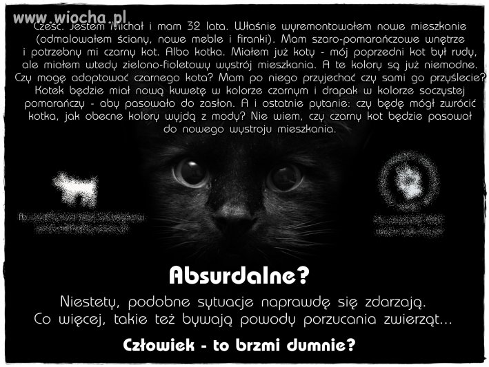 Człowiek - to brzmi dumnie?